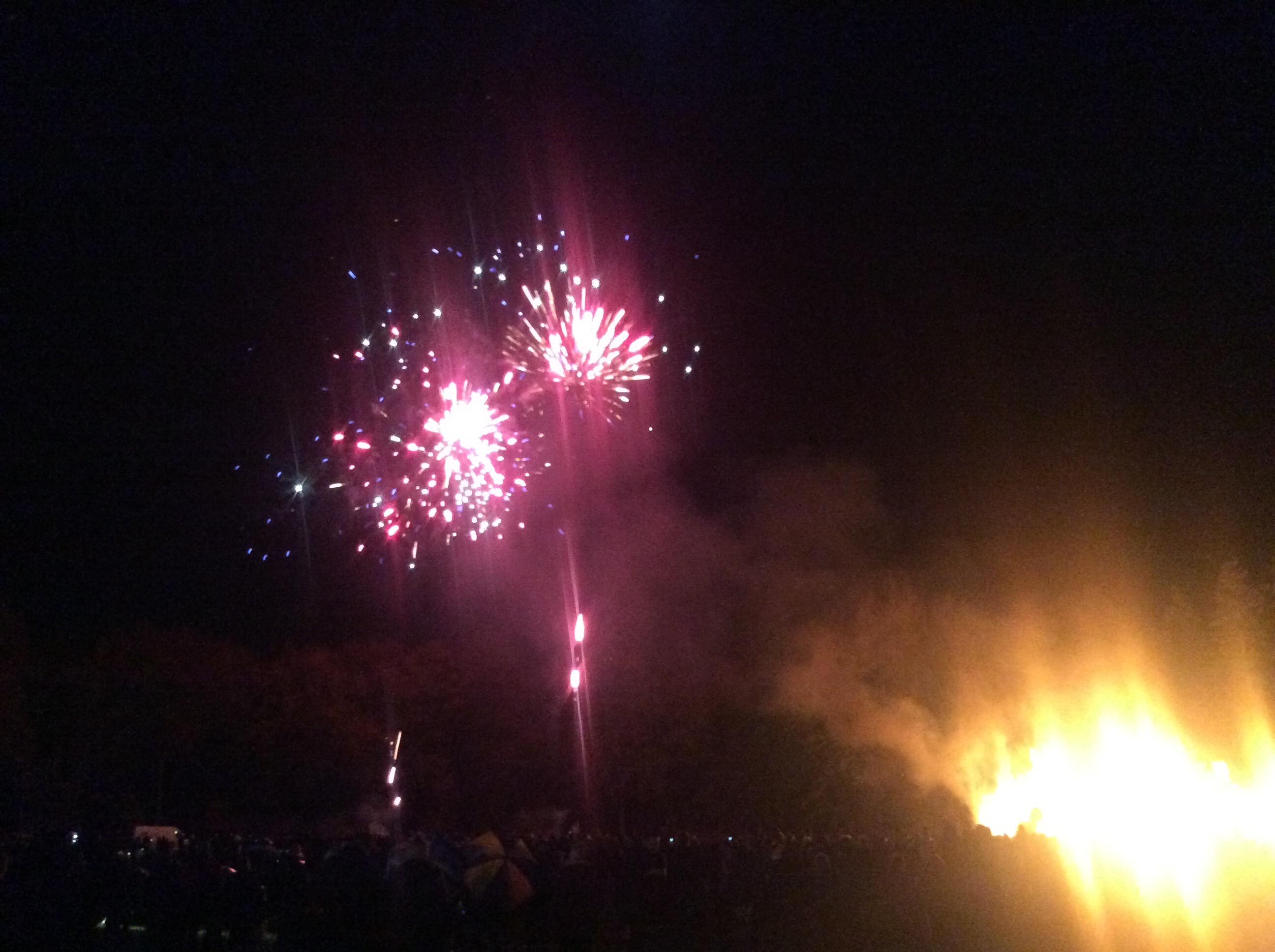 Speech House Fireworks