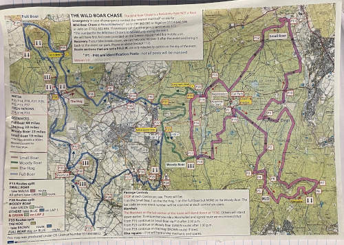 Wild Boar Chase Routes