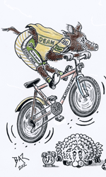 Boar riding a mountain bike